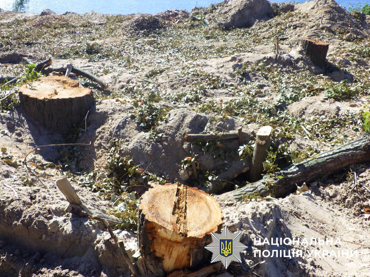 На території прибережної зони Русанівської протоки виявили незаконне будівництво та порубку дерев - фото 2