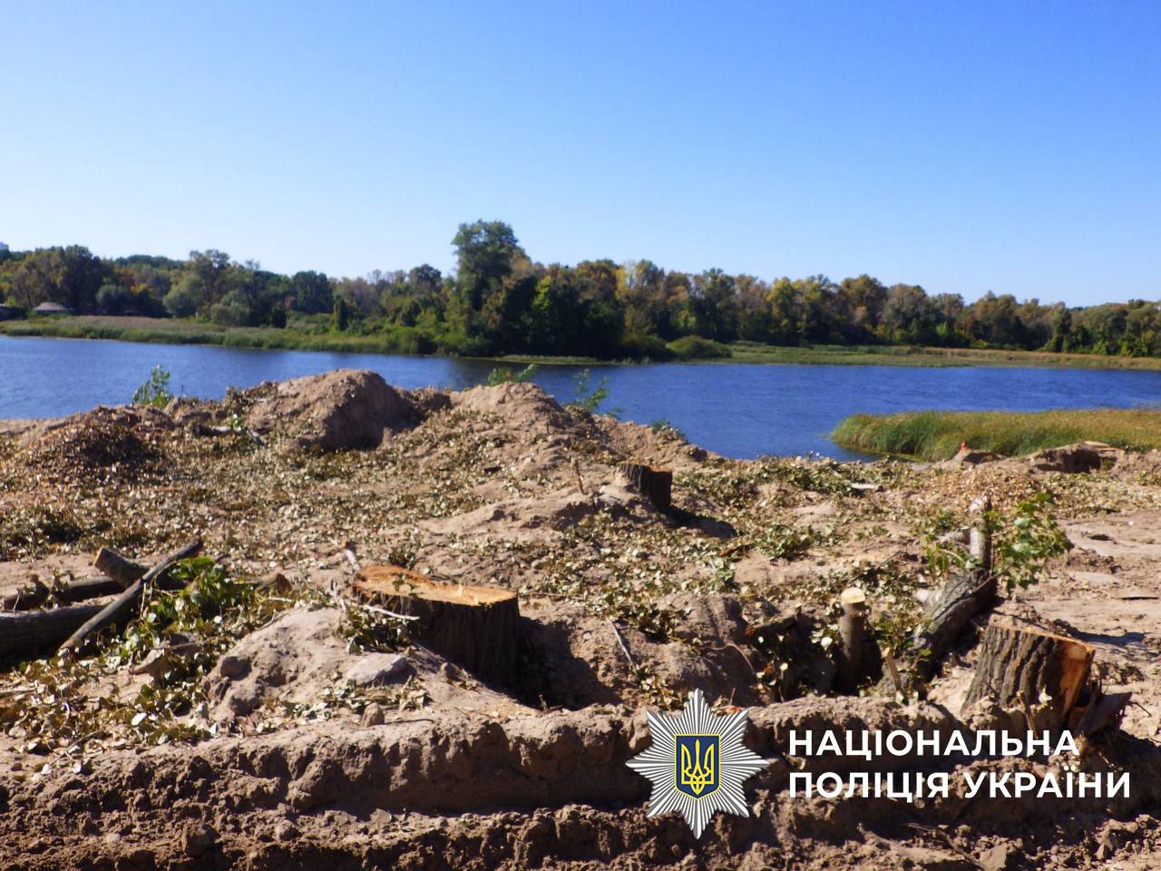 На території прибережної зони Русанівської протоки виявили незаконне будівництво та порубку дерев