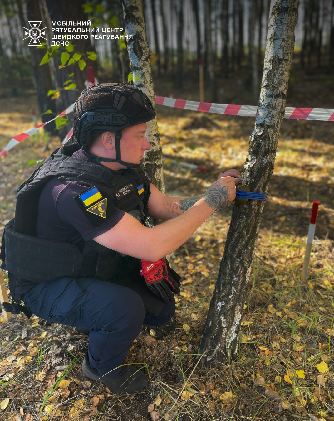 На Київщині сапери знешкодили бойову гранату, закріплену на дереві