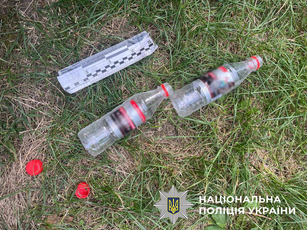 У столиці затримали палія, який працював на російські спецслужби - фото 3