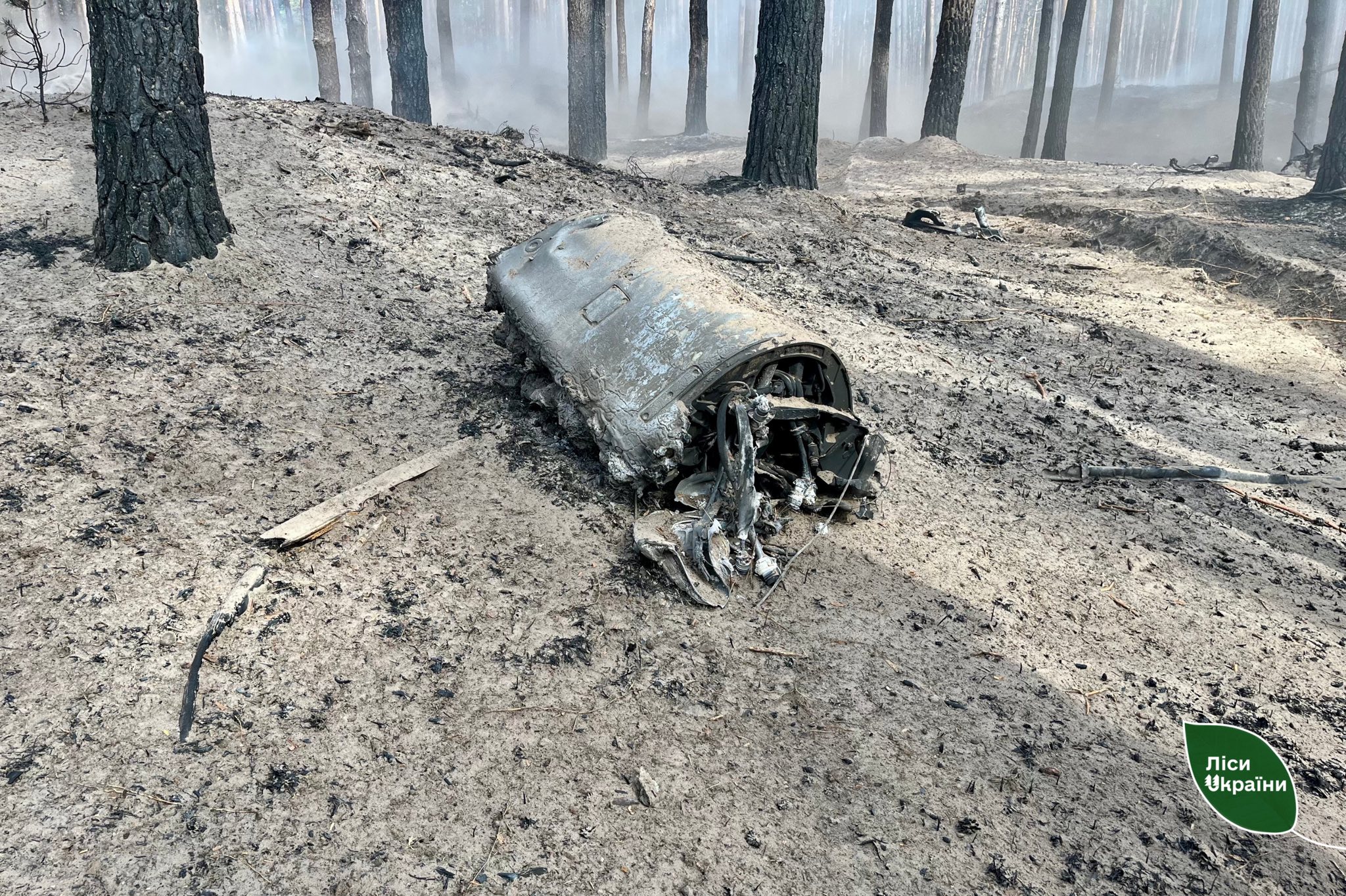 На Черкащині внаслідок російського обстрілу пошкоджено майже 6 га лісу - фото 2