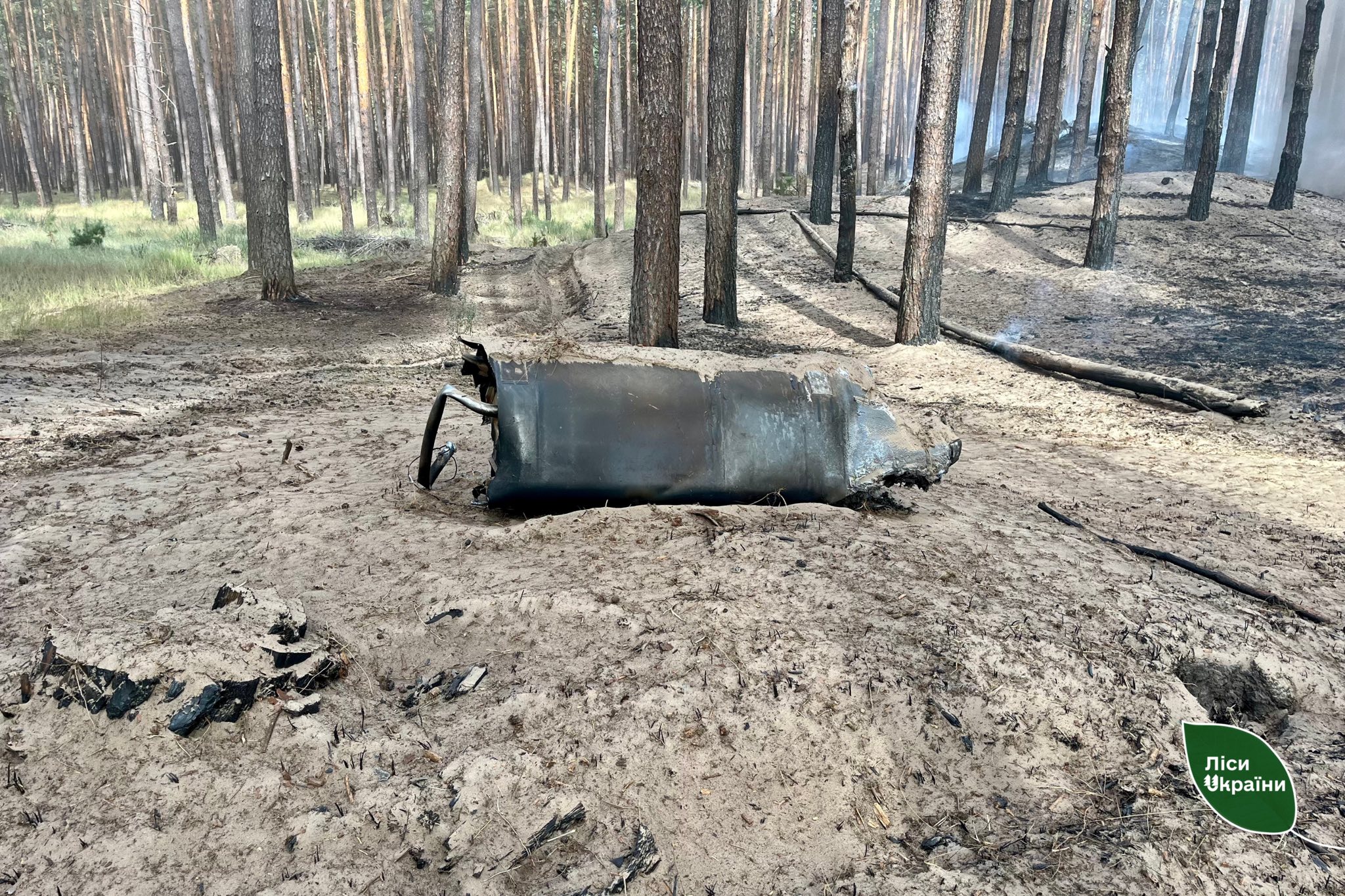 На Черкащині внаслідок російського обстрілу пошкоджено майже 6 га лісу - фото 3