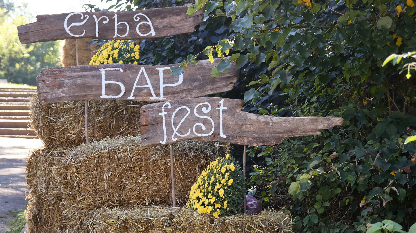 У громаді на Вінниччині провели фестиваль цілющих трав - ERBA BAR Fest - фото 7