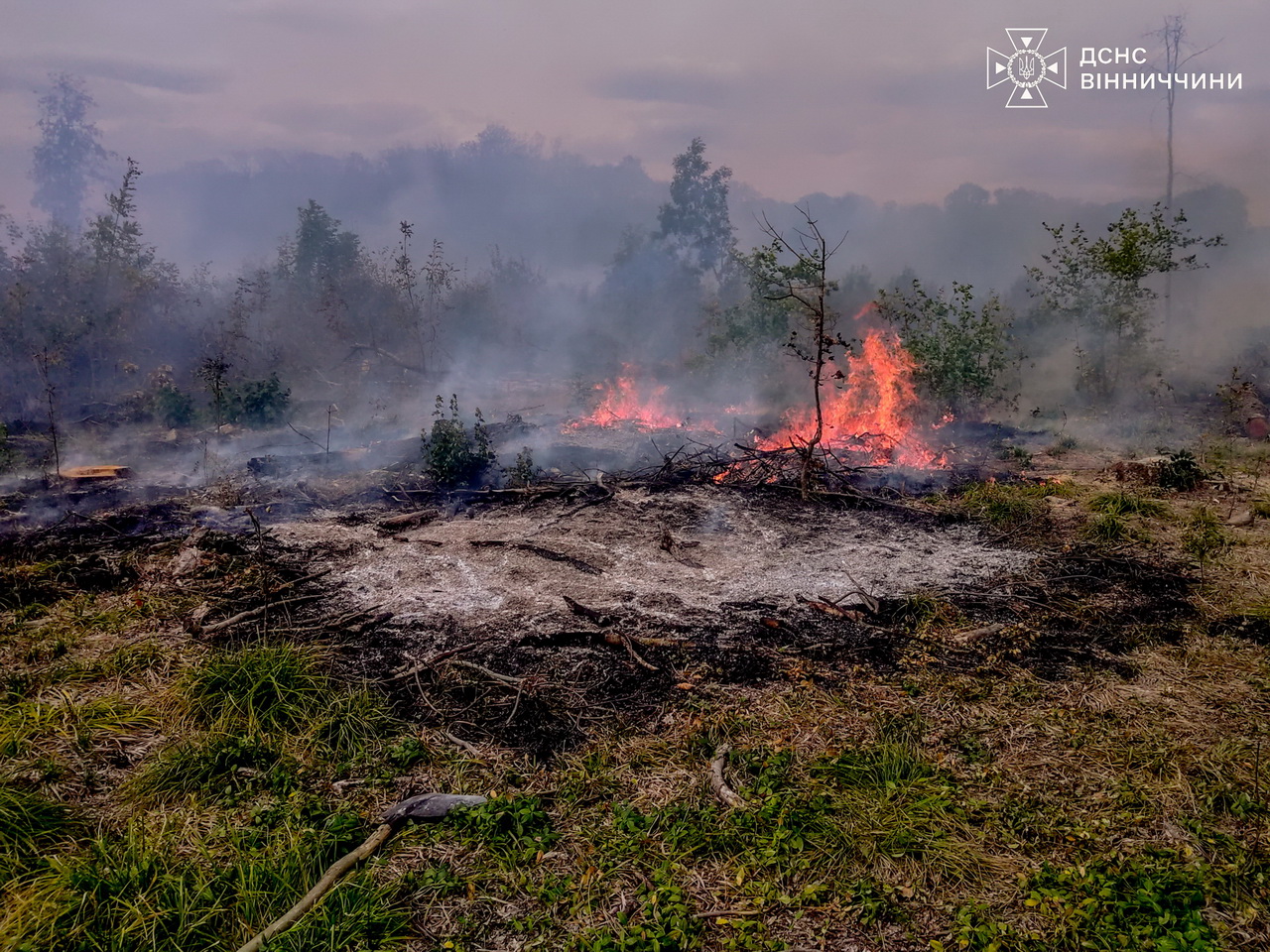 На Вінниччині внаслідок пожеж загинула жінка, двоє чоловіків травмовано - фото 3