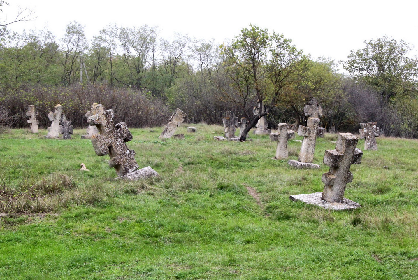 Старовинний некрополь в селі на Вінниччини: таємничі хрести регіону - фото 7