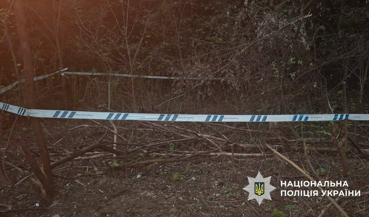 У лісосмузі в Києві підірвали бойову частину російського БпЛА