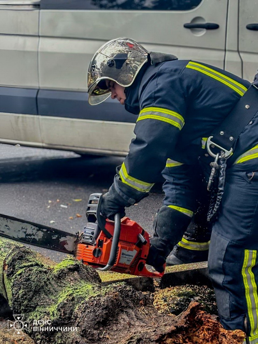 У Вінниці на машину впало дерево