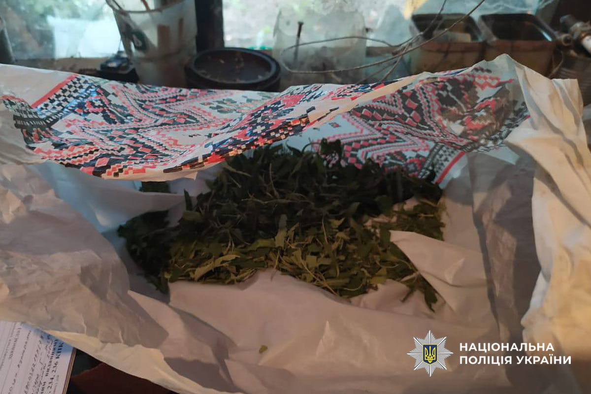 На Звенигородщині поліцейські затримали ділка, який збував зброю та наркотики - фото 3