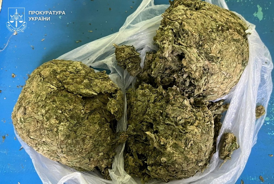 Двоє ув’язнених організували наркотрафік до виправної колонії на Вінниччині - фото 3