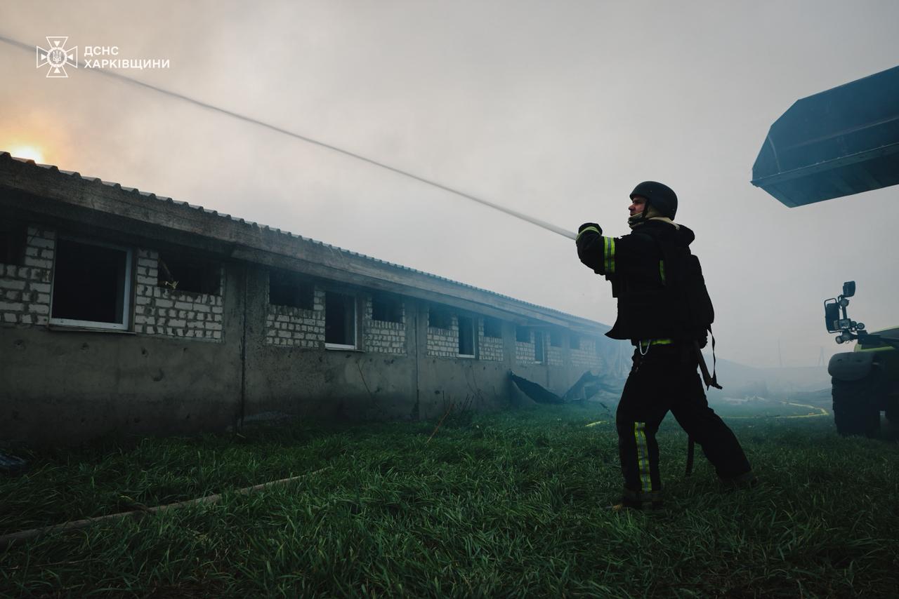 13 тисяч свиней загинули на Харківщині під час обстрілу