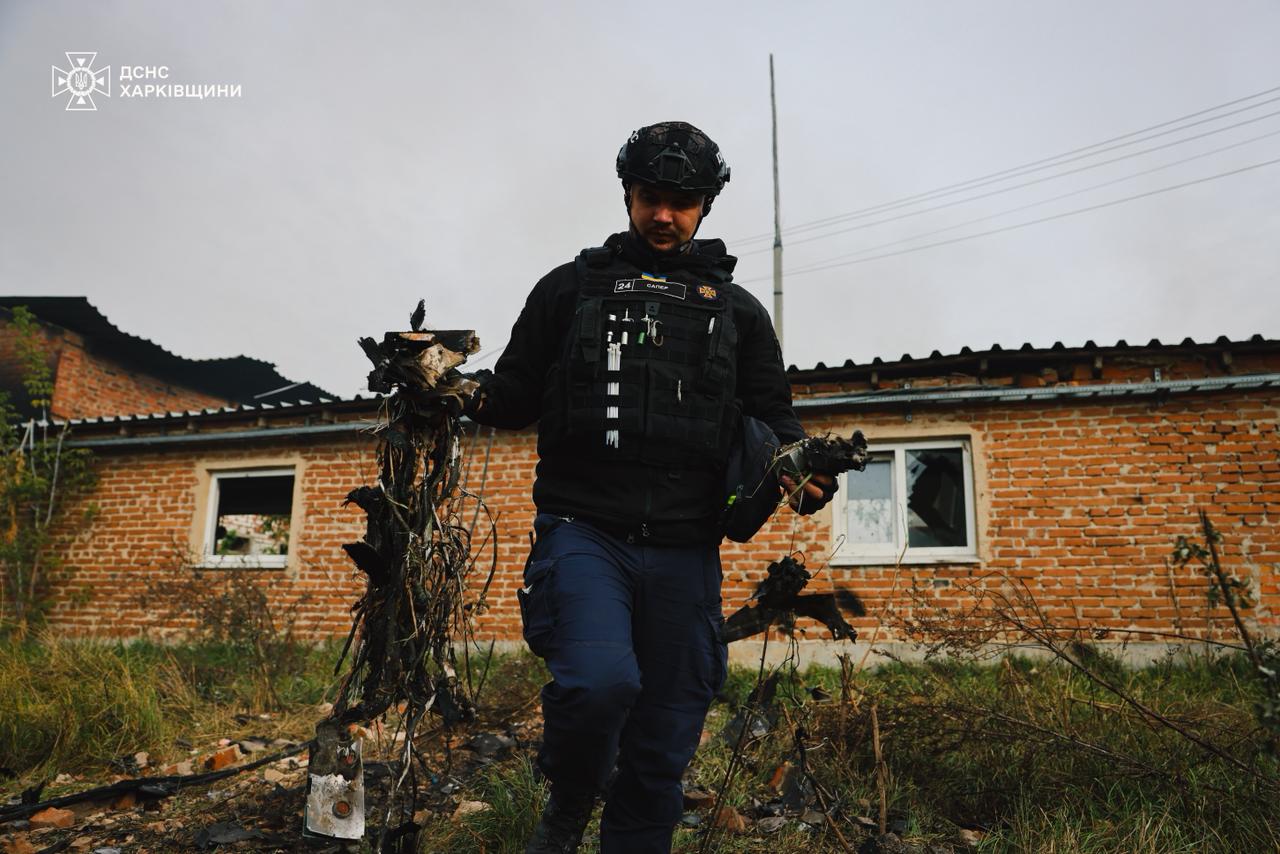 13 тисяч свиней загинули на Харківщині під час обстрілу - фото 8
