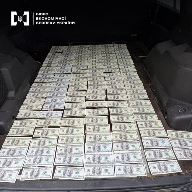 Судитимуть вінничанку за контрабанду авто, ввезених нібито для ЗСУ - фото 3