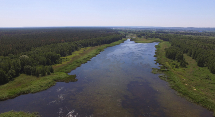 Голосіївський парк у Києві: від давніх курганів до національного заповідника - фото 10
