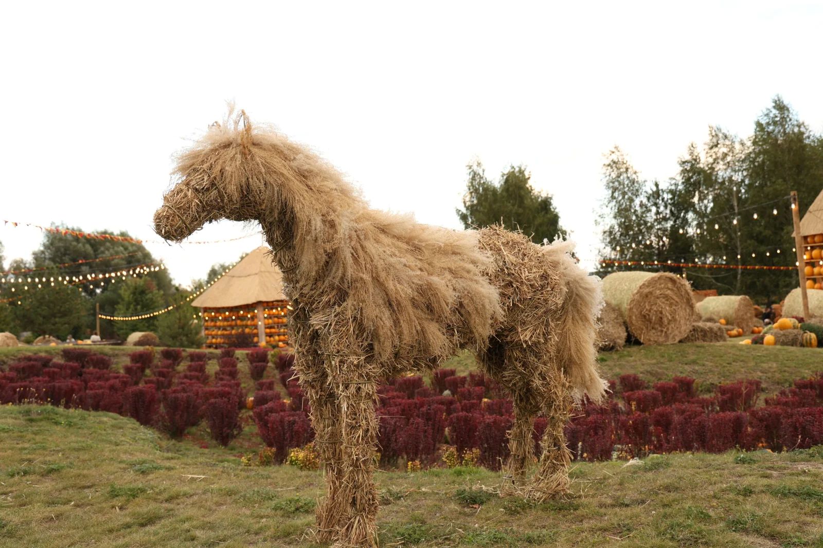 На Київщині запрацював осінній Добропарк: парк прикрасили гарбузами, квітами та злаками