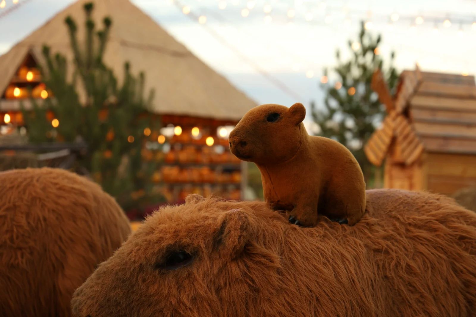 На Київщині запрацював осінній Добропарк: парк прикрасили гарбузами, квітами та злаками - фото 2