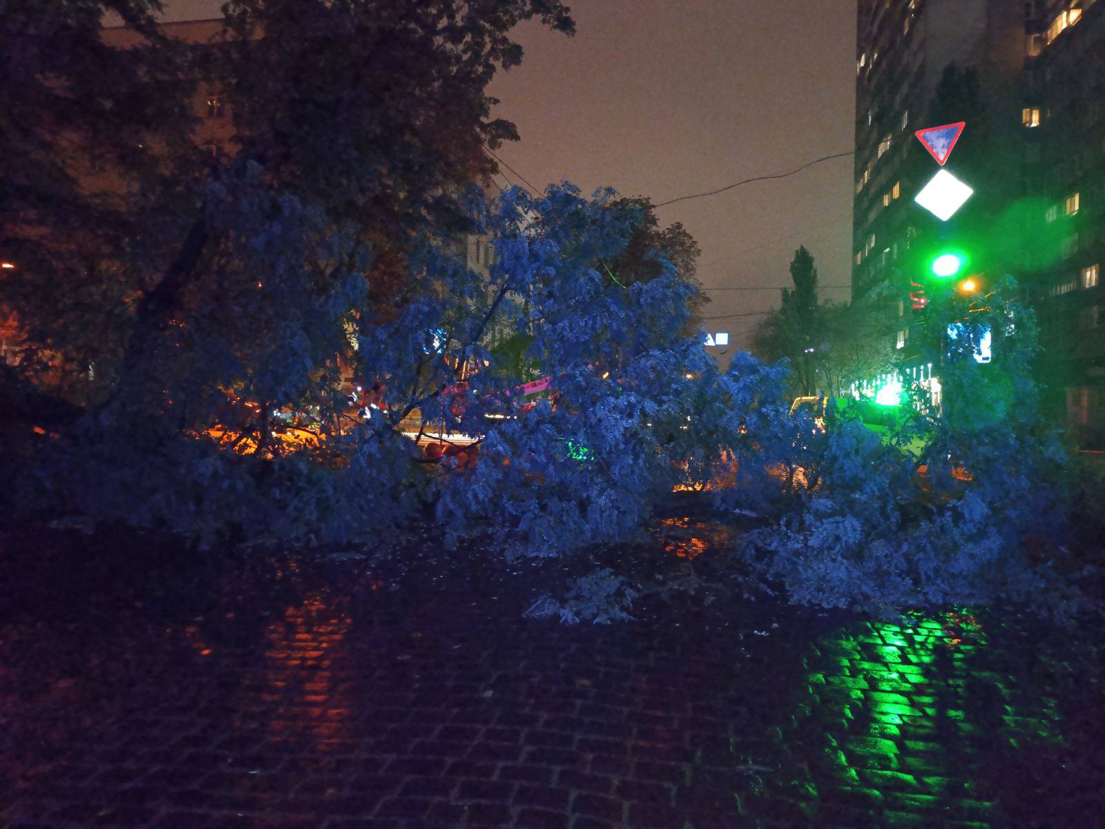 Рятувальники ліквідували наслідки негоди в шести районах Києва - фото 3