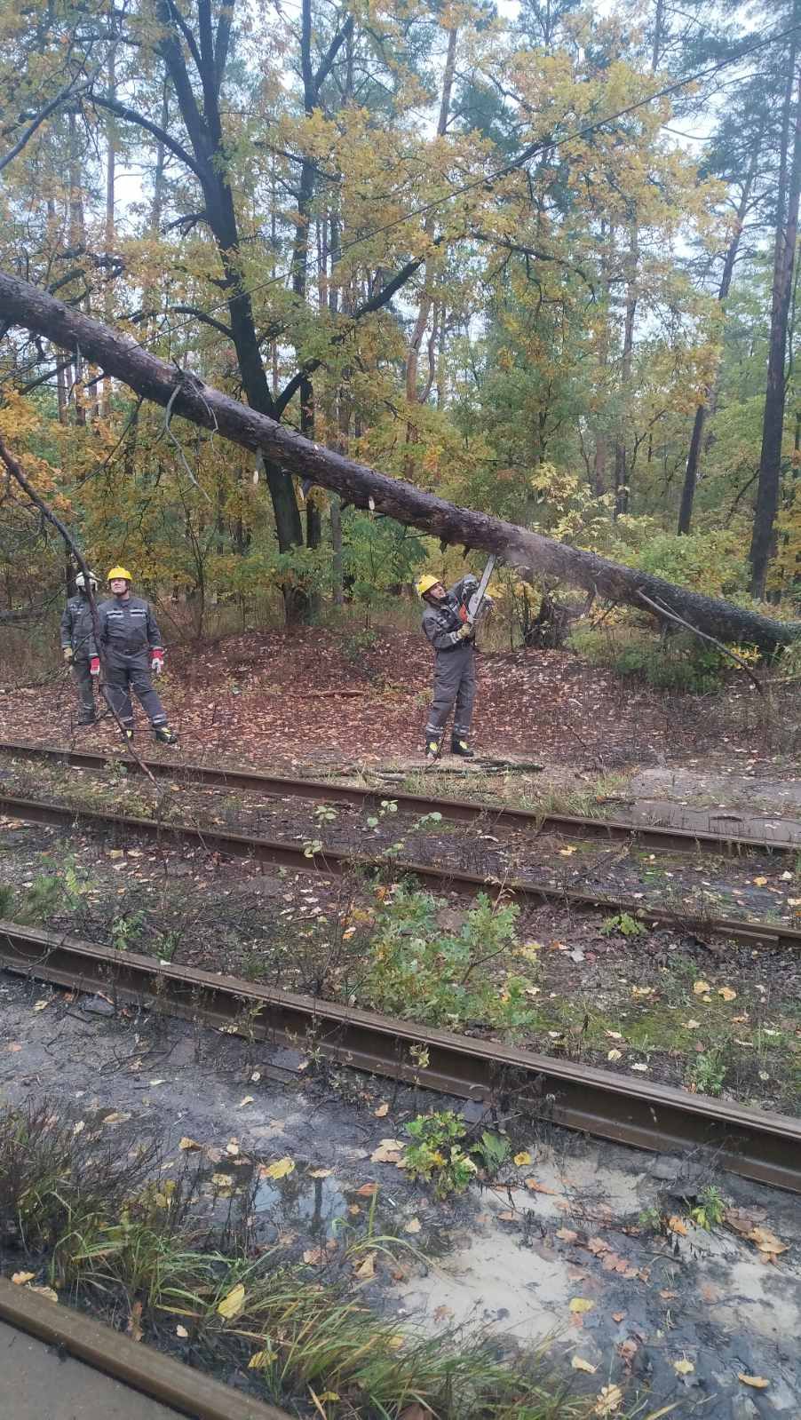 Рятувальники ліквідували наслідки негоди в шести районах Києва - фото 4