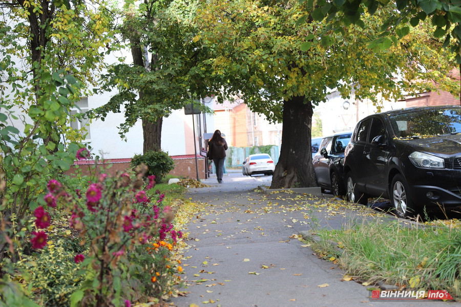 Яким буде екватор осені на Вінниччині - фото 4