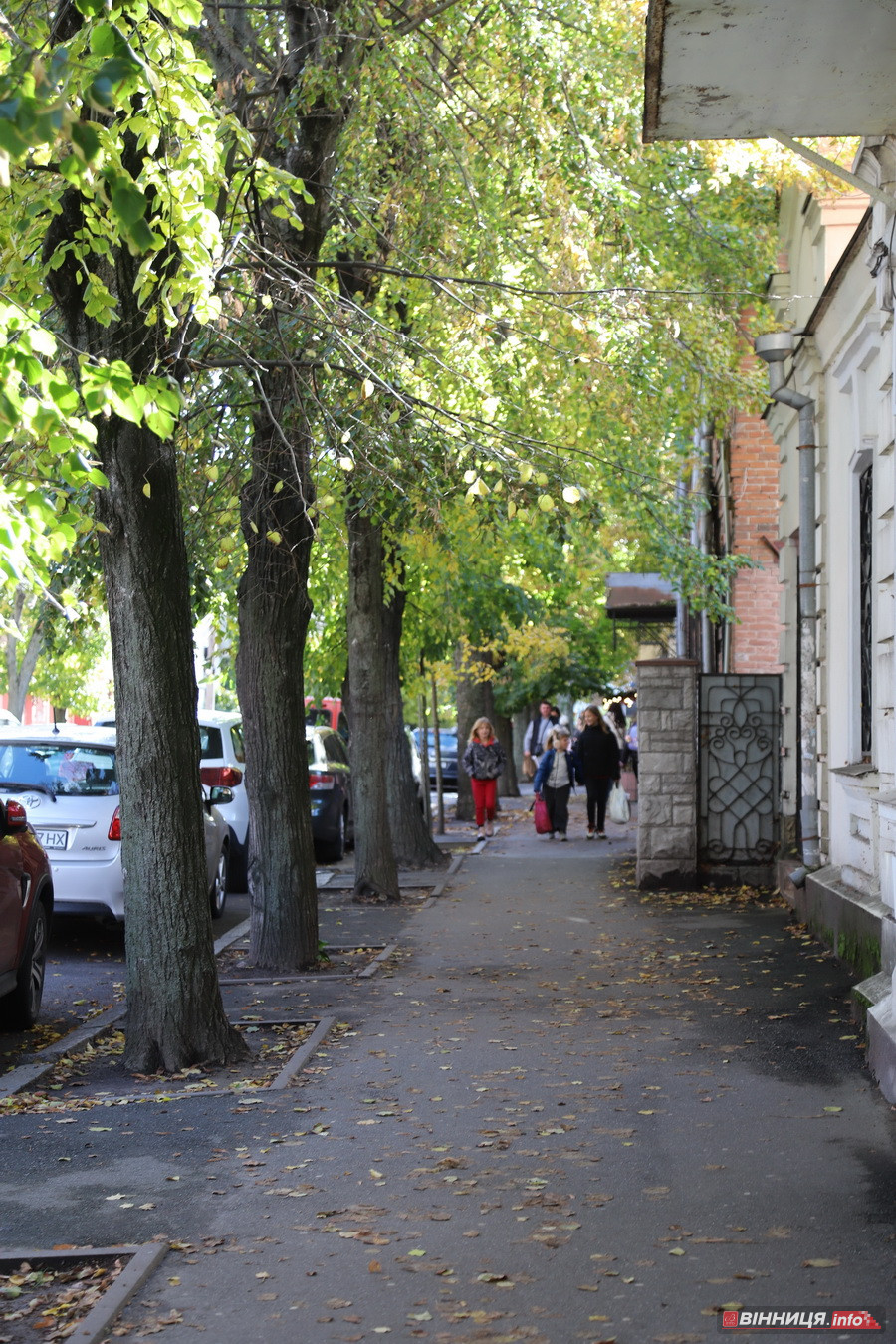 Яким буде екватор осені на Вінниччині - фото 14