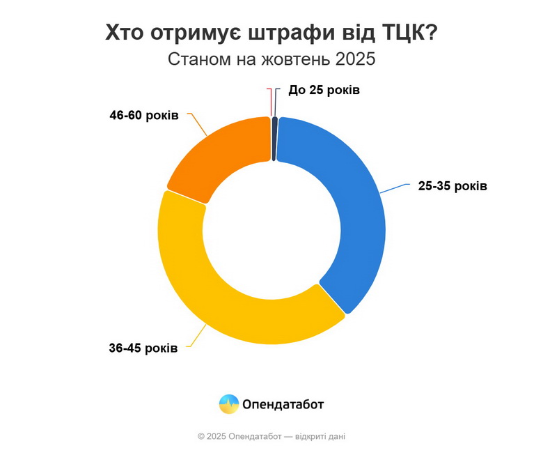 На Вінниччині більше 2 тисяч штрафів виписав ТЦК - фото 3