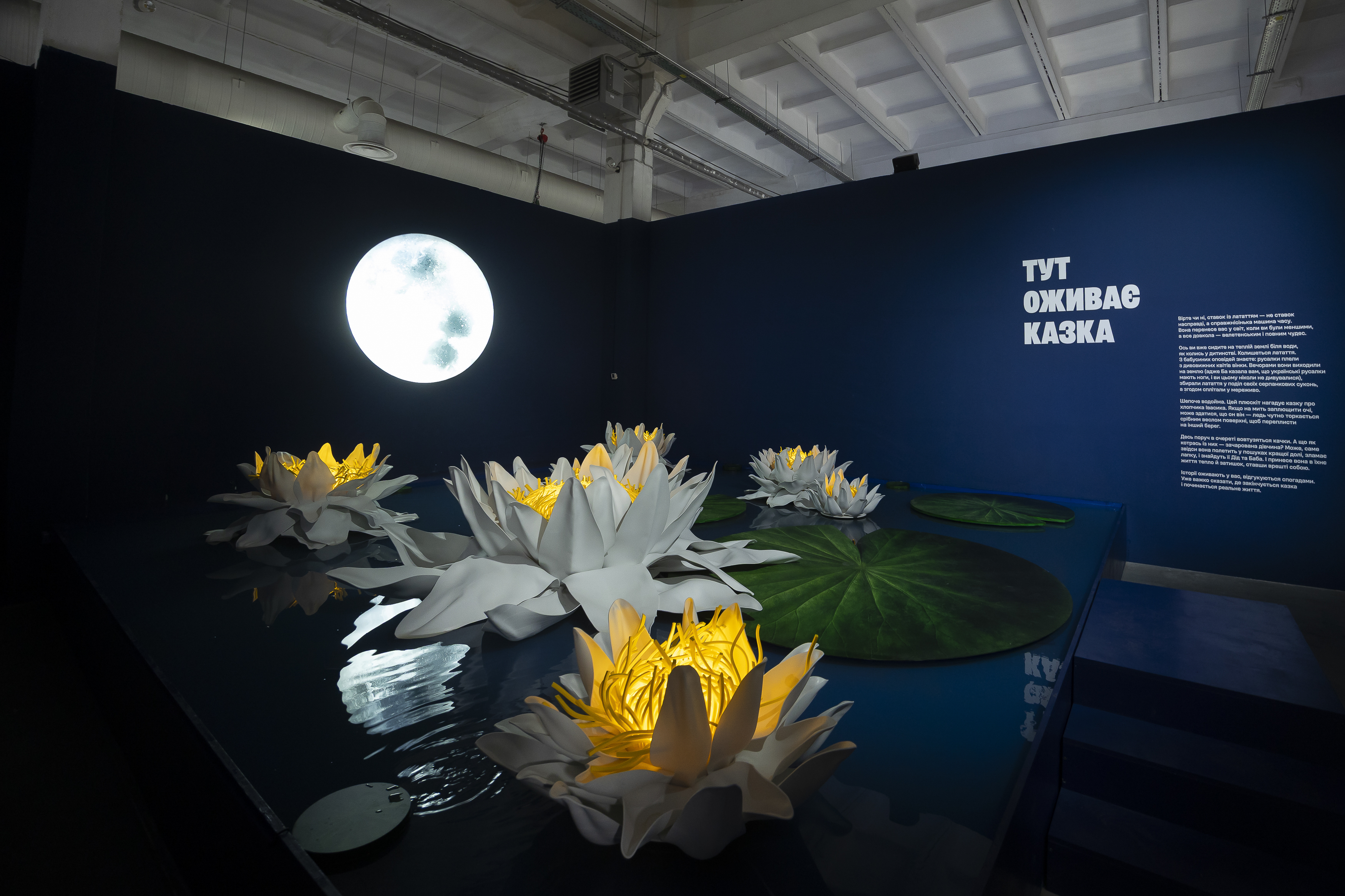 Сто експонатів і десятки інтерактивних зон: що подвитися у Києві на Ukraine WOW - фото 5