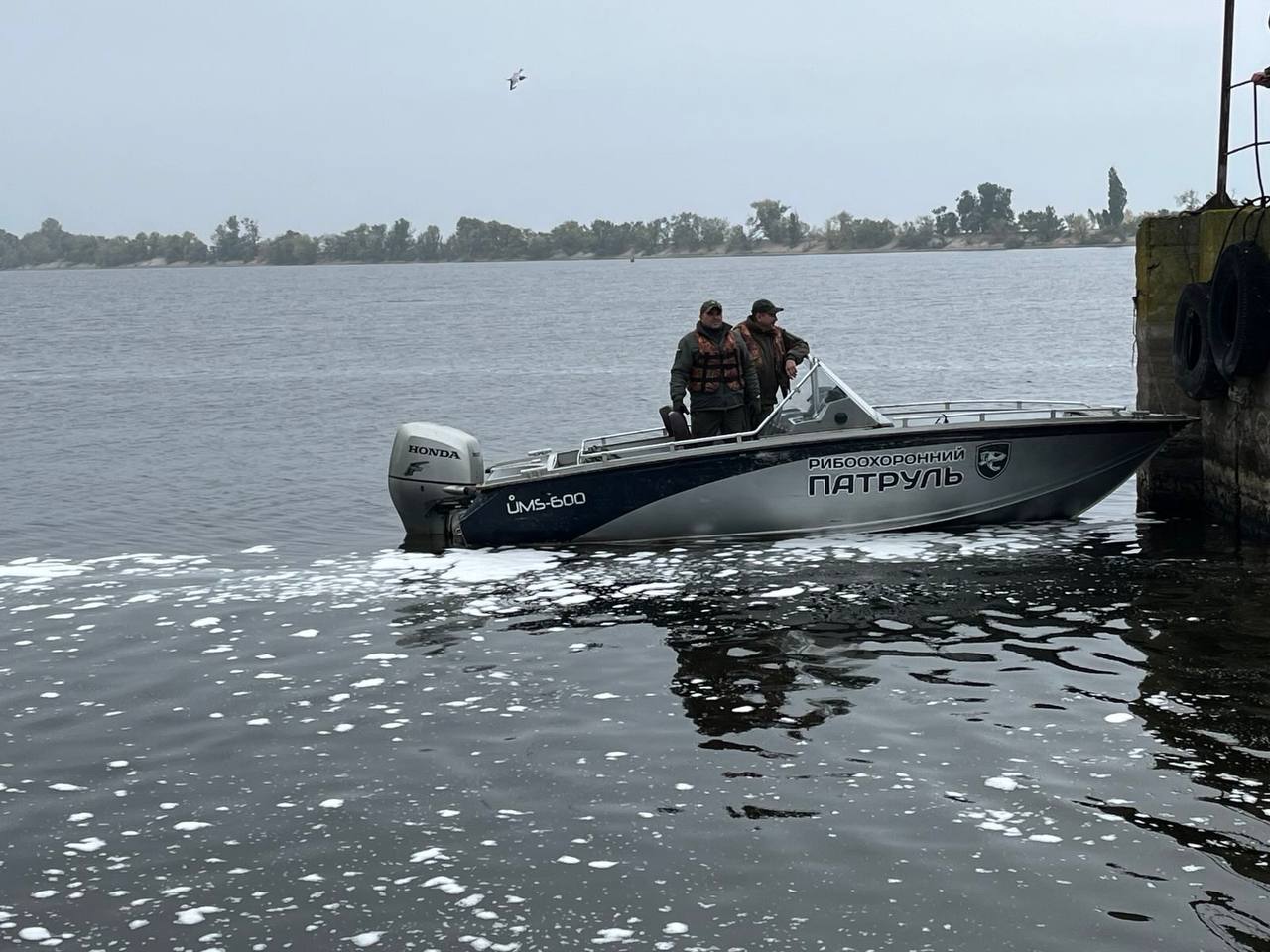 Масштабне зариблення на Черкащині: у водойми області випустили понад 61 тонну рослиноїдних видів риб - фото 4