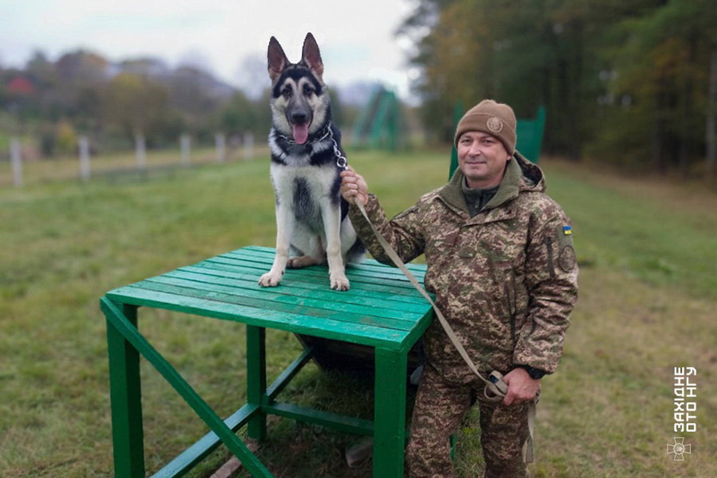 Тандем та довіра: як кінологи нацгвардії Вінниччини навчають службових собак