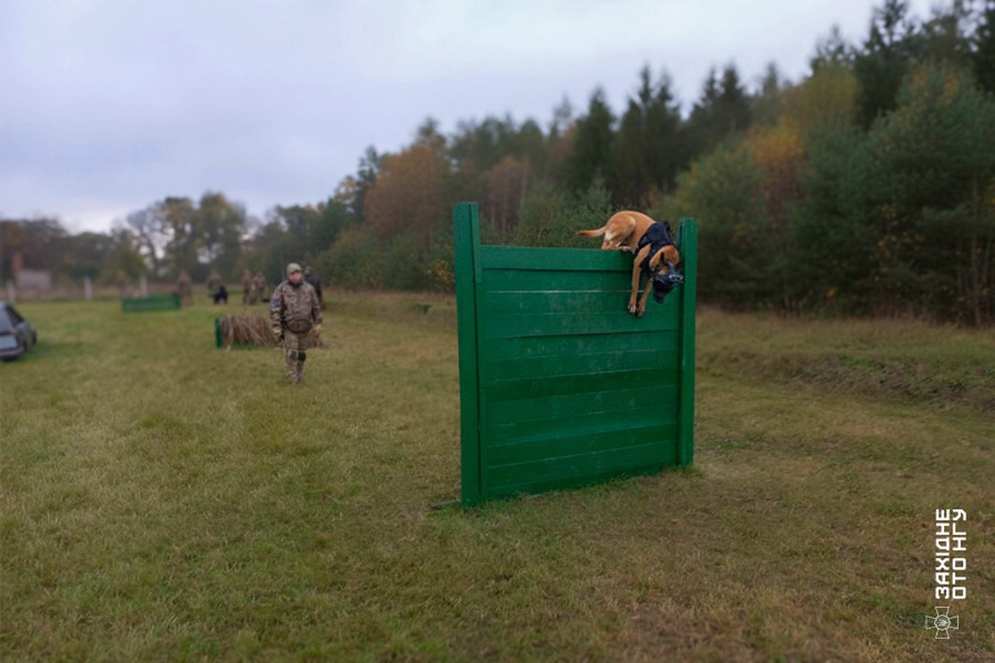 Тандем та довіра: як кінологи нацгвардії Вінниччини навчають службових собак - фото 2