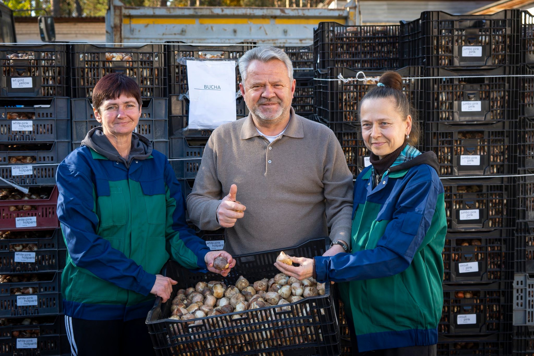 Бучанська громада отримала від Нідерландів 100 тисяч тюльпанів