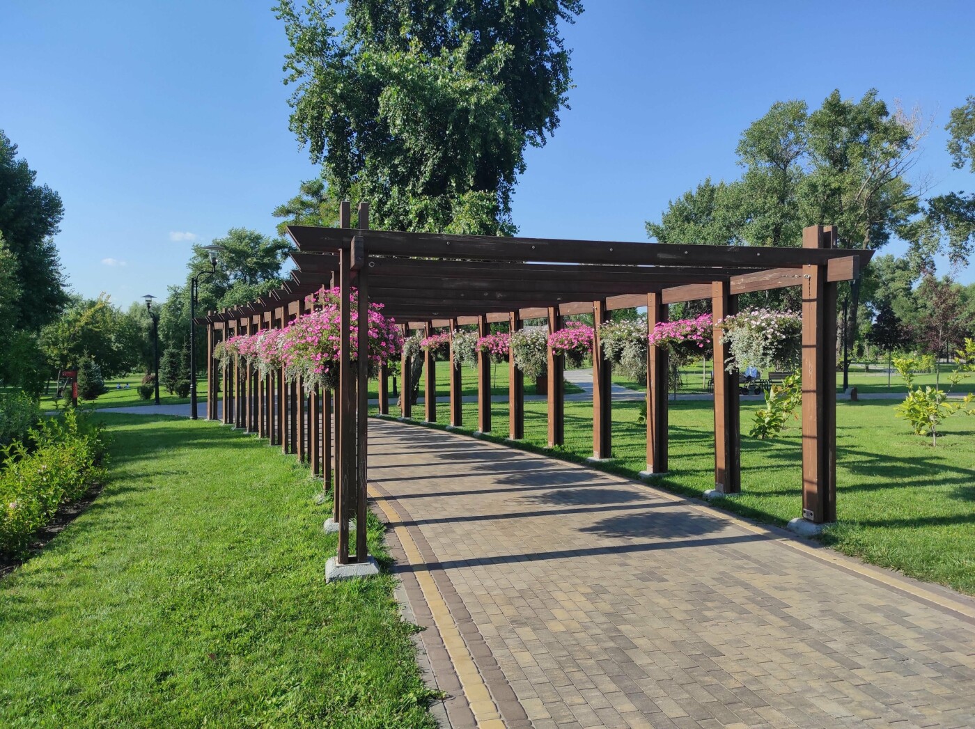 Парк Наталка: від забутого урочища до перлини Оболоні - фото 2