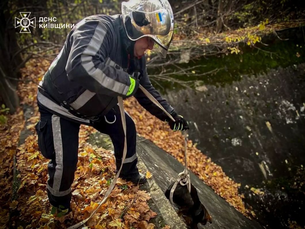 Білоцерківські надзвичайники врятували собак із водяного відстійника - фото 5