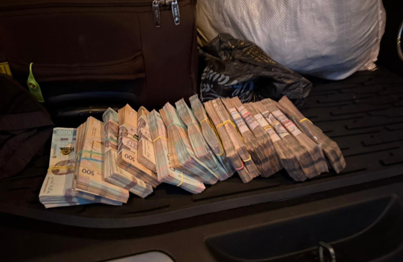 Викрили масштабну схему незаконної вирубки дубів у шести областях України