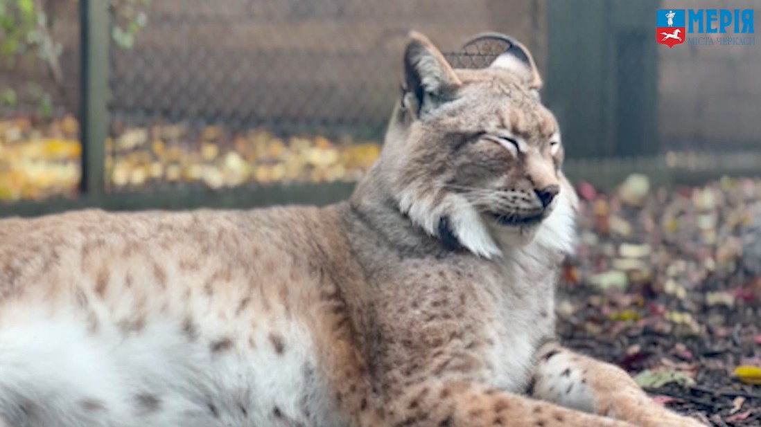 Черкаський зоопарк готується до зимового періоду - фото 2