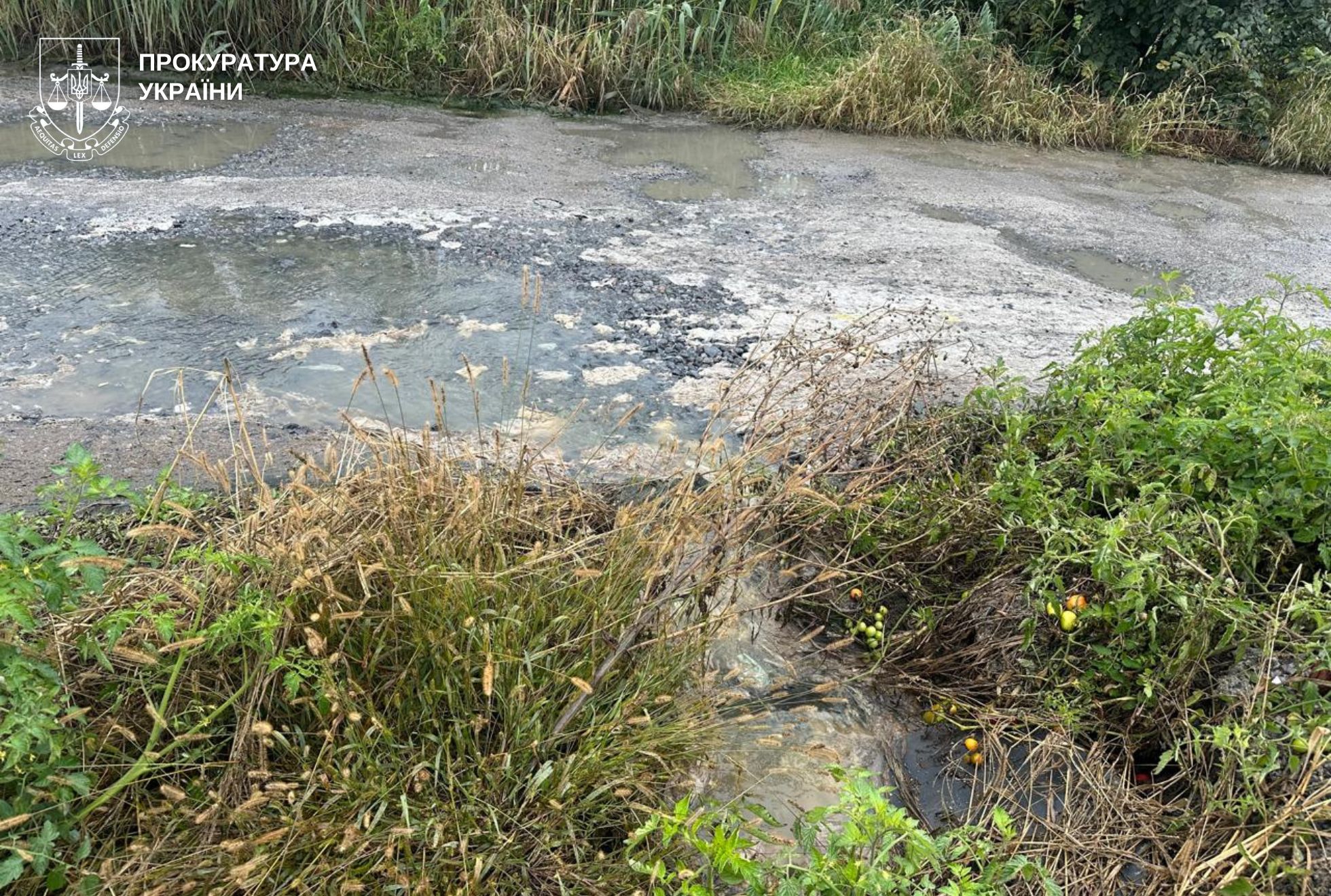 На Вінниччині підприємство забруднило землю стічними водами