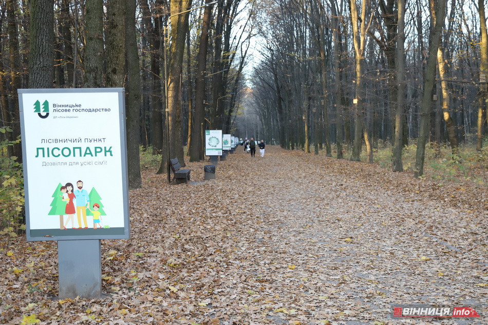Вишенька у Вінниці: історія району та його цікаві місця - фото 13