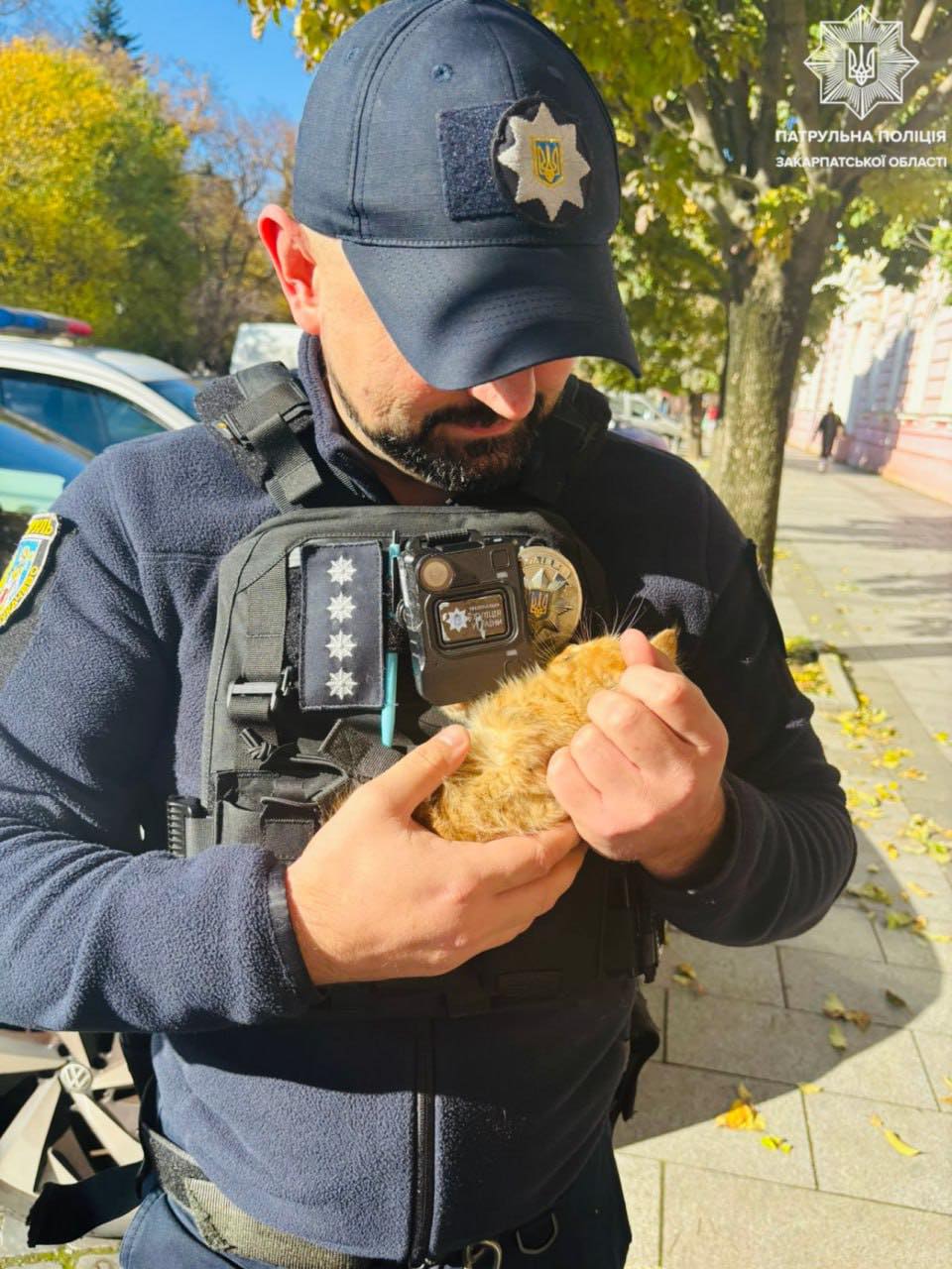 Патрульні врятували котика з-під капота в Ужгороді