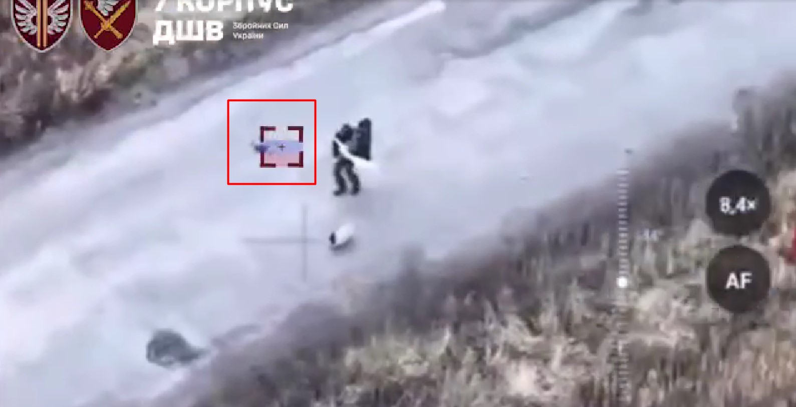 Вбили двох людей і собаку, які йшли дорогою із білим прапором на Харківщині