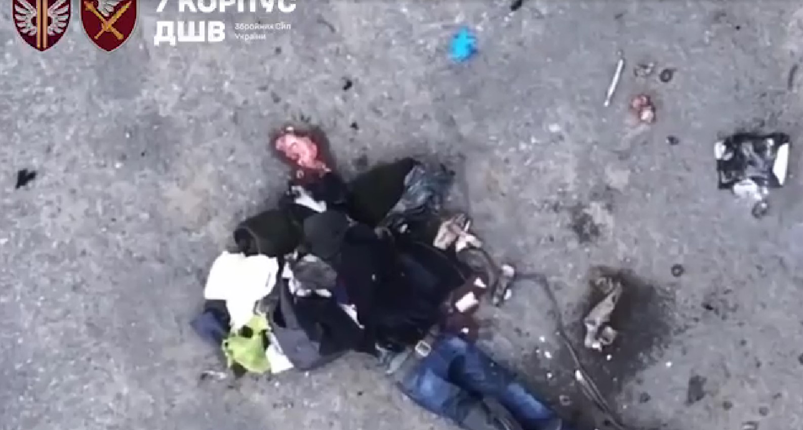 Вбили двох людей і собаку, які йшли дорогою із білим прапором на Харківщині - фото 2