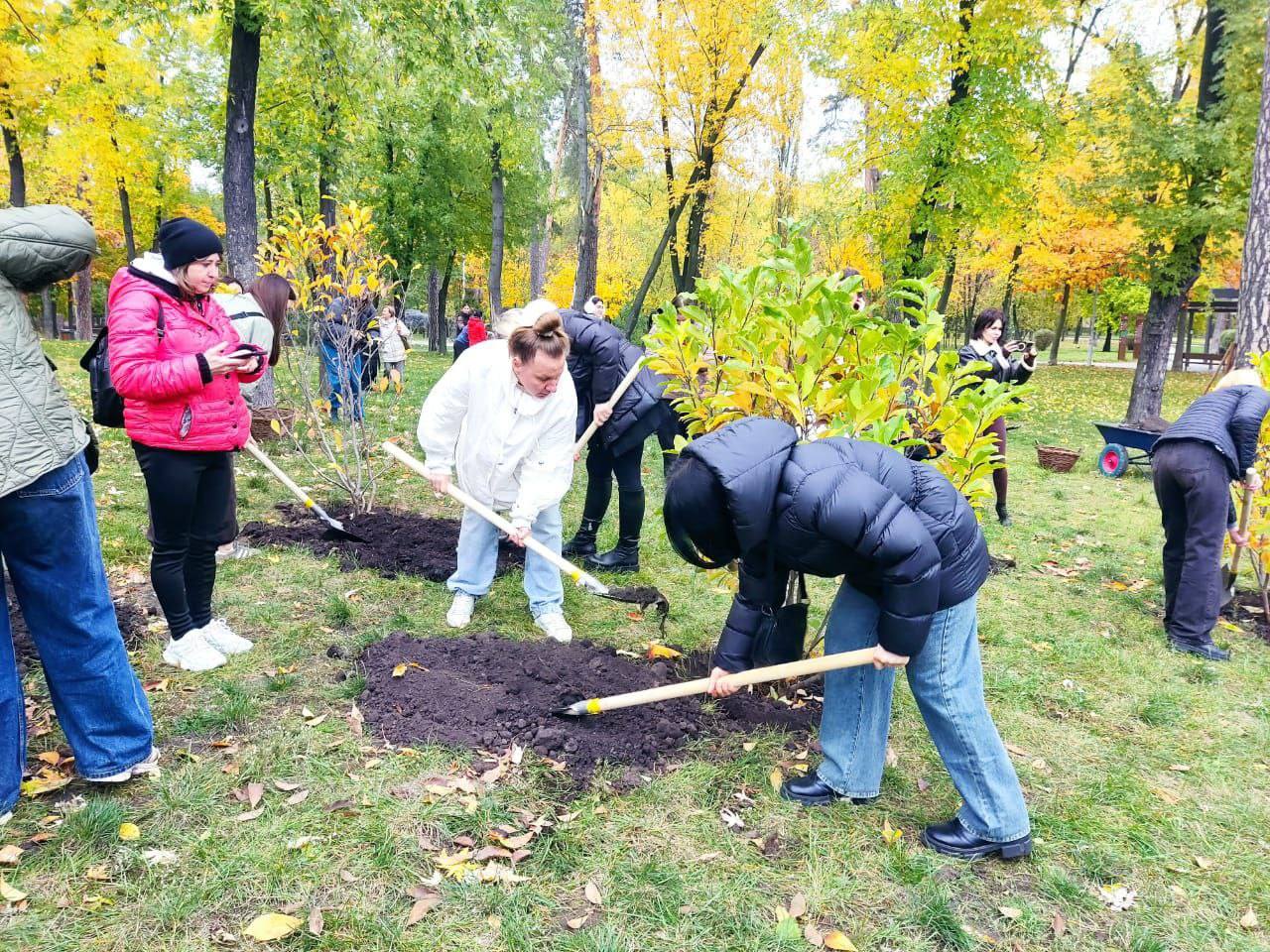 У парку Партизанської слави висадили магнолії в пам’ять про дітей, чиї життя забрав рак