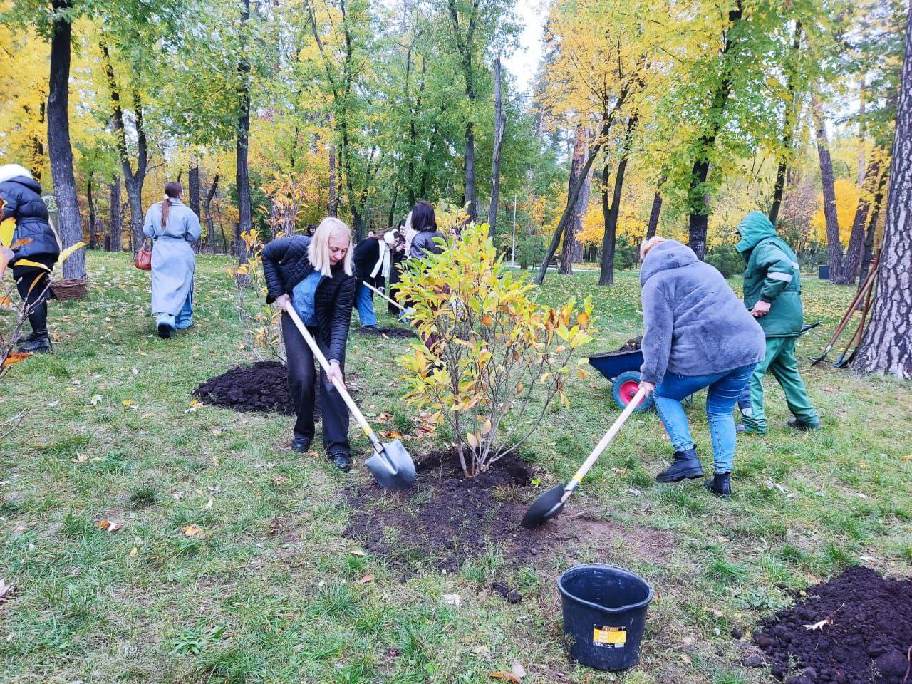 У парку Партизанської слави висадили магнолії в пам’ять про дітей, чиї життя забрав рак - фото 2