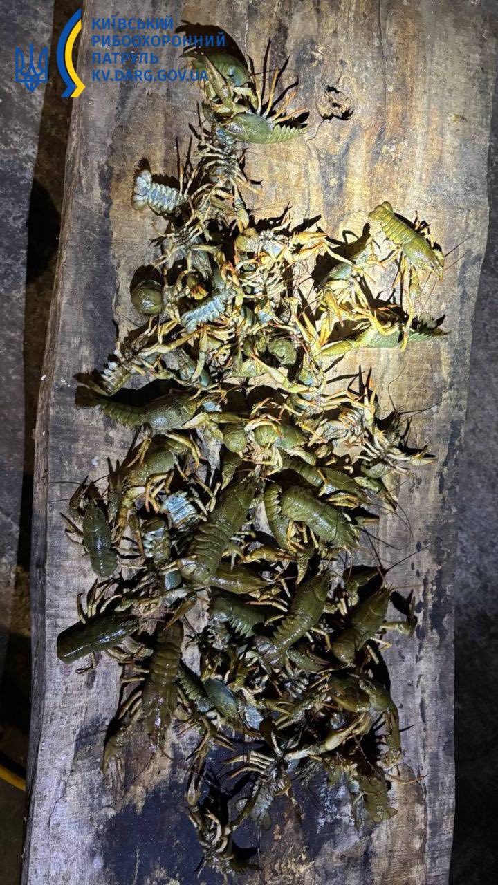 На Київщині браконьєр наловив риби й раків на 248 тисяч гривень