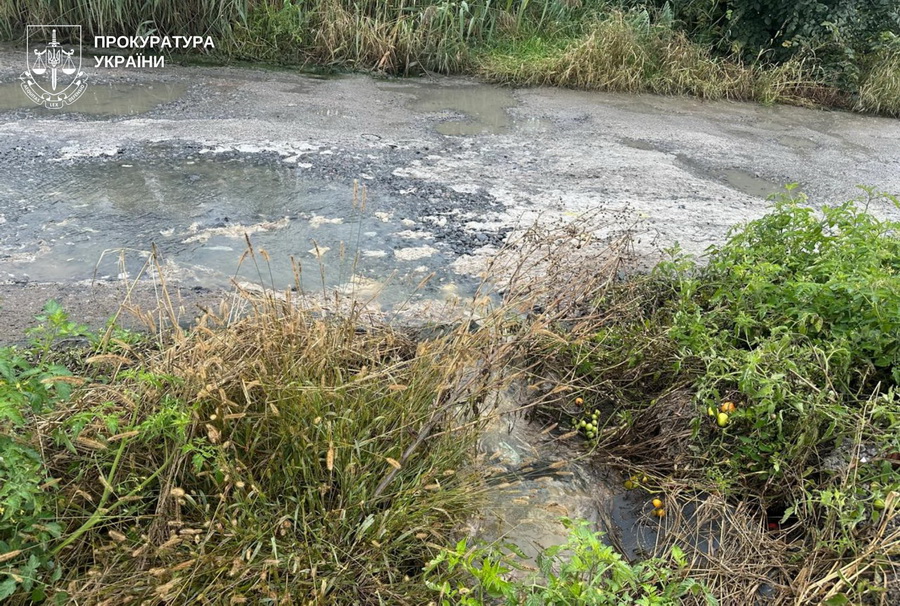 Особисте зобов’язання: суд обрав запобіжний захід вінницькому підприємцю-забудовнику - фото 2
