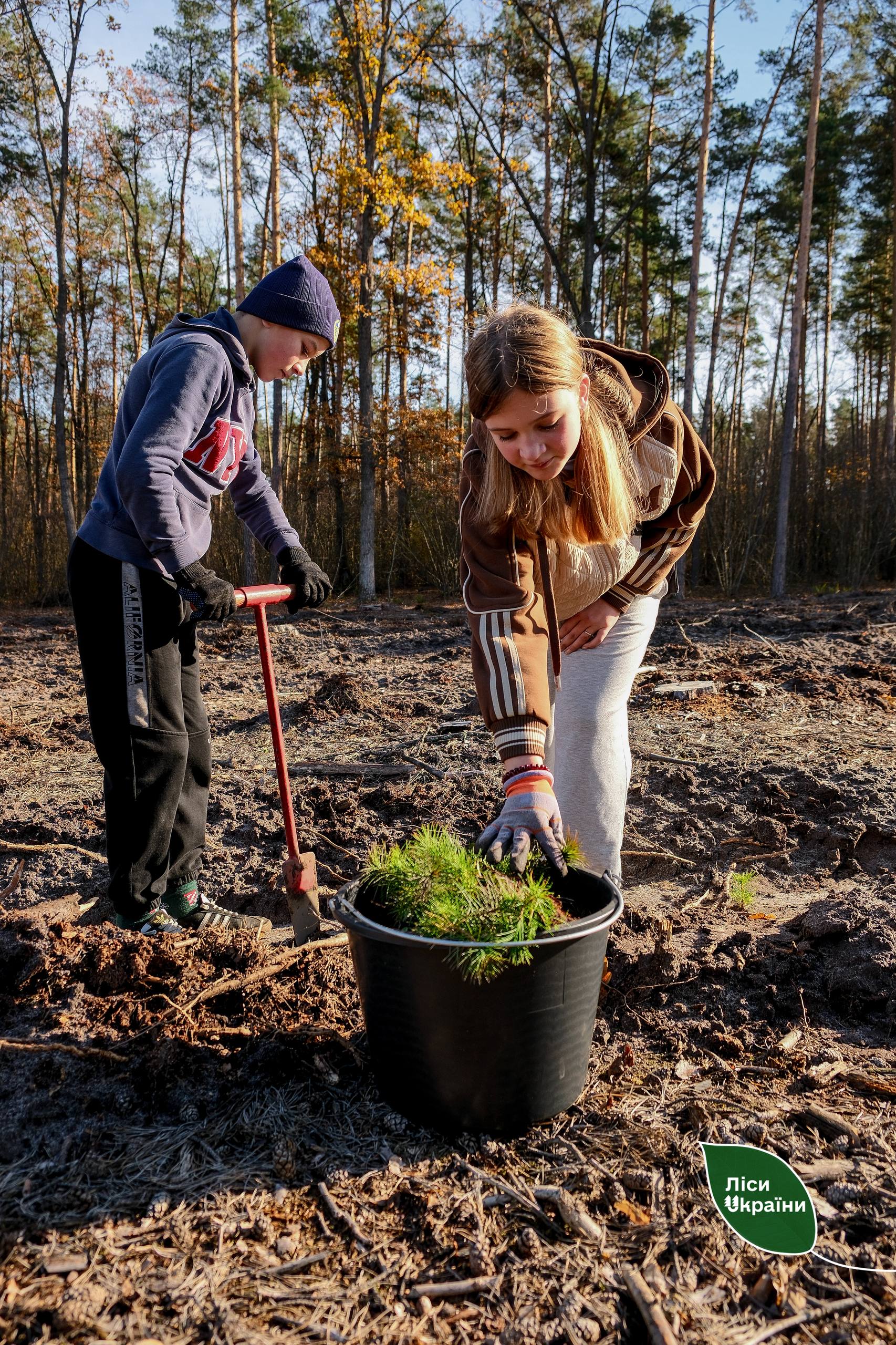 На Київщині висадили «Ліс памʼяті» на честь загиблих лісівників ДП «Ліси України» - фото 5