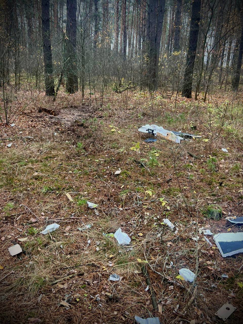 Частина дрона вибухнула у лісі на Чернігівщині, коли діти збирали гриби