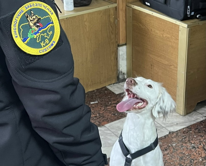 На Вінницькій митниці собака виявила в жінки психоактивні препарати