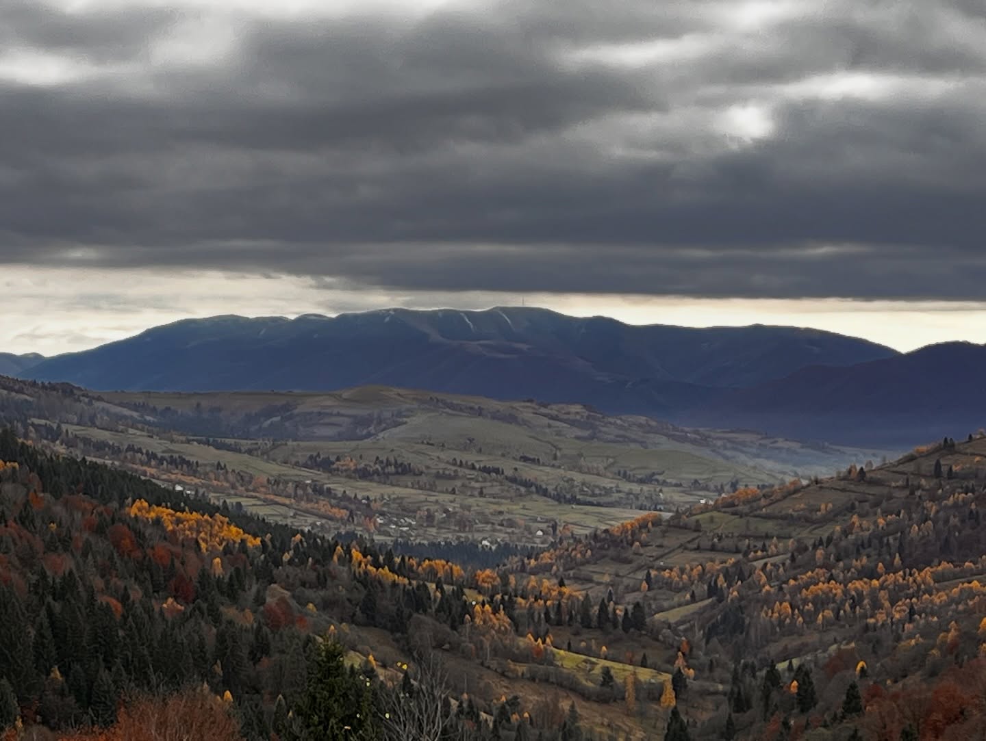 Закарпатська Колочава, що підкорила світ: десять музеїв, Долина крокусів, гори і море