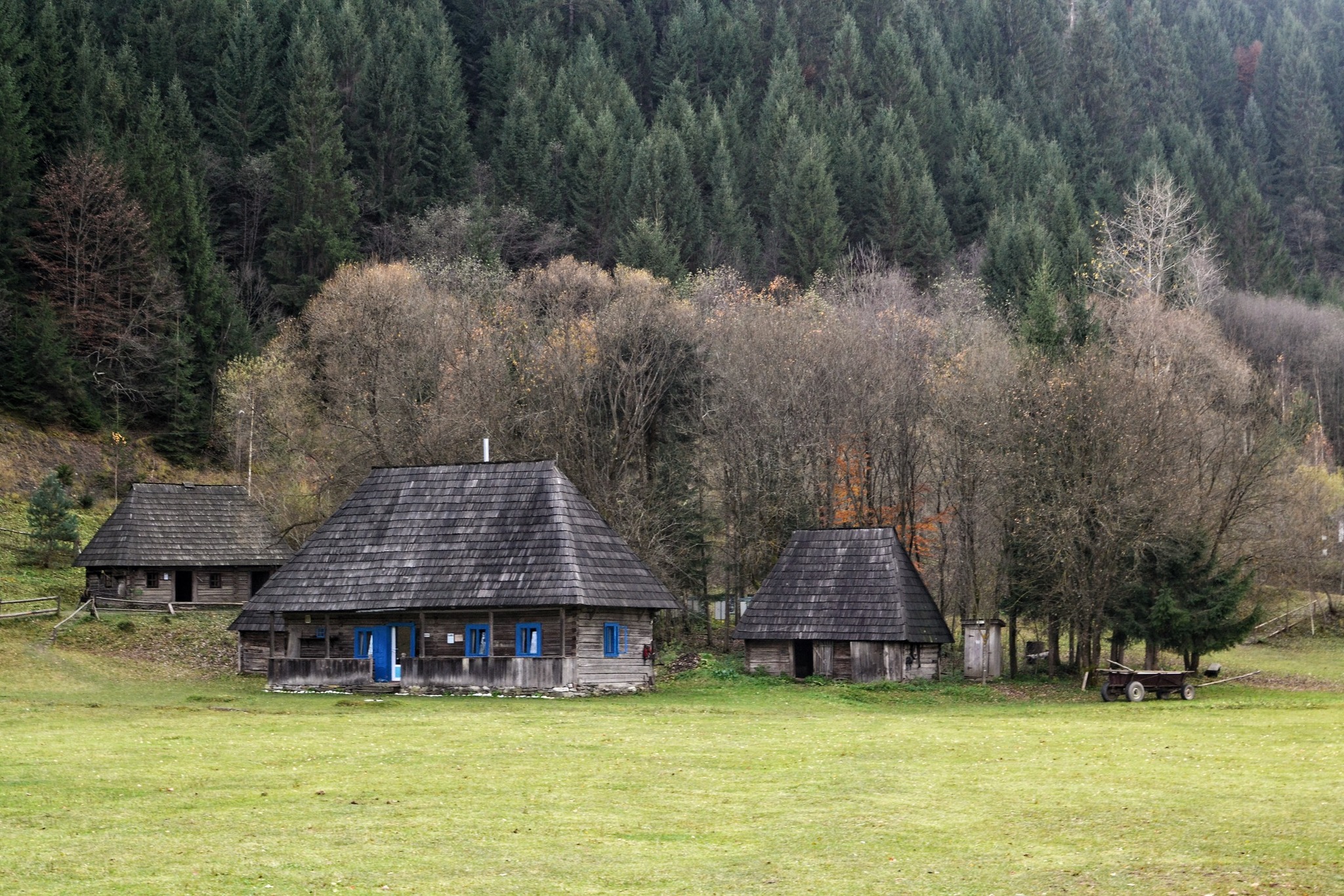 Закарпатська Колочава, що підкорила світ: десять музеїв, Долина крокусів, гори і море - фото 9