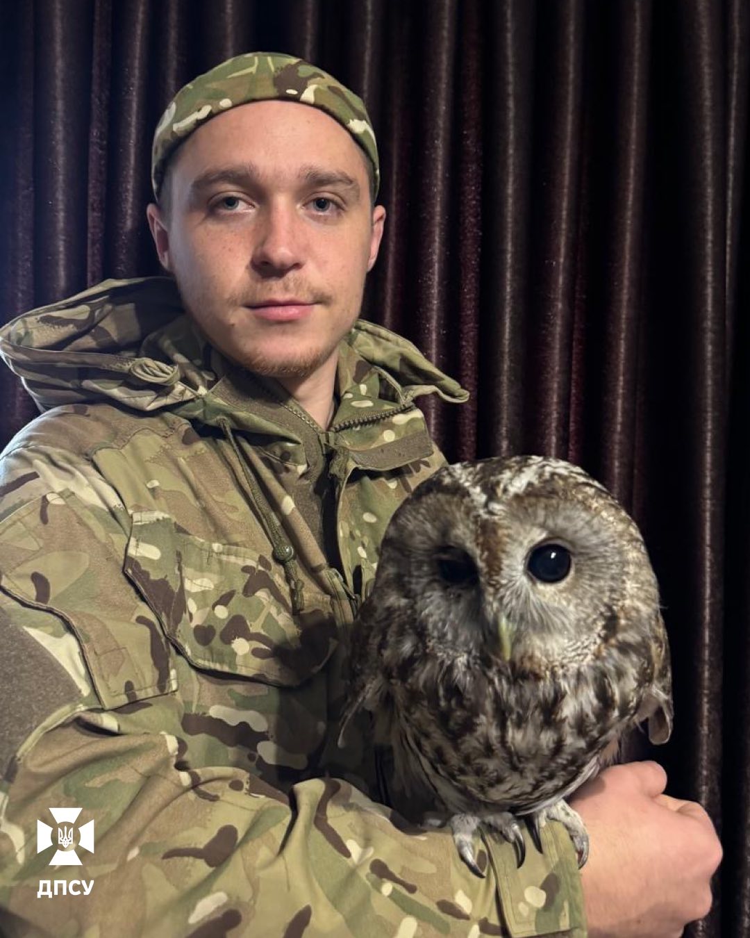 Прикордонник врятував сову. Птаха назвав Андрієм