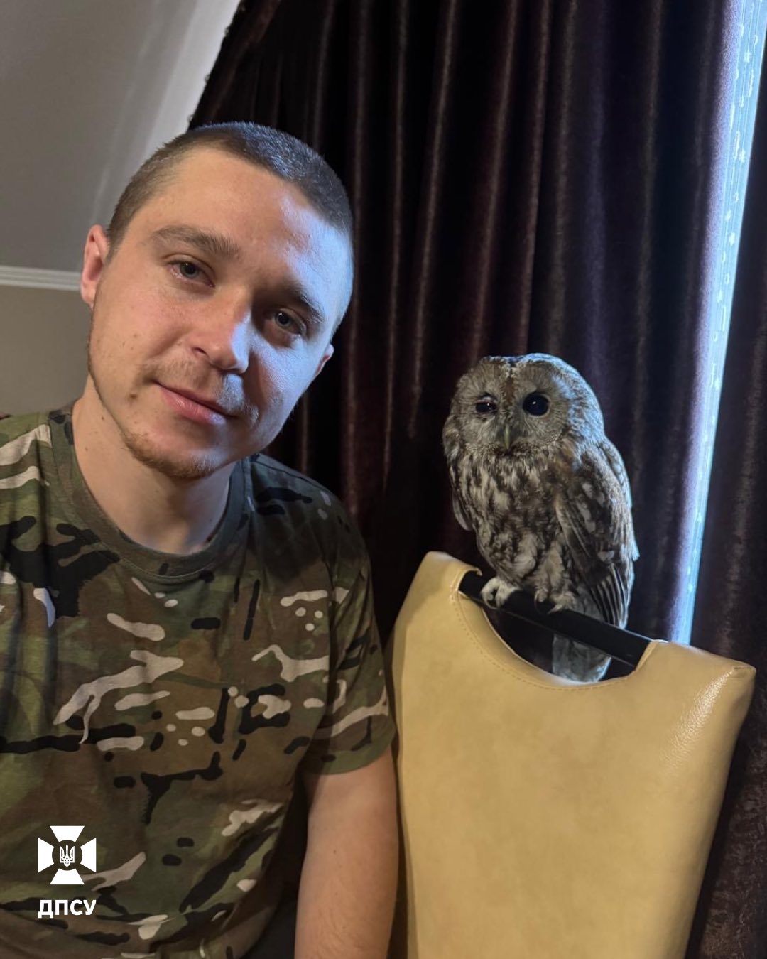 Прикордонник врятував сову. Птаха назвав Андрієм - фото 2