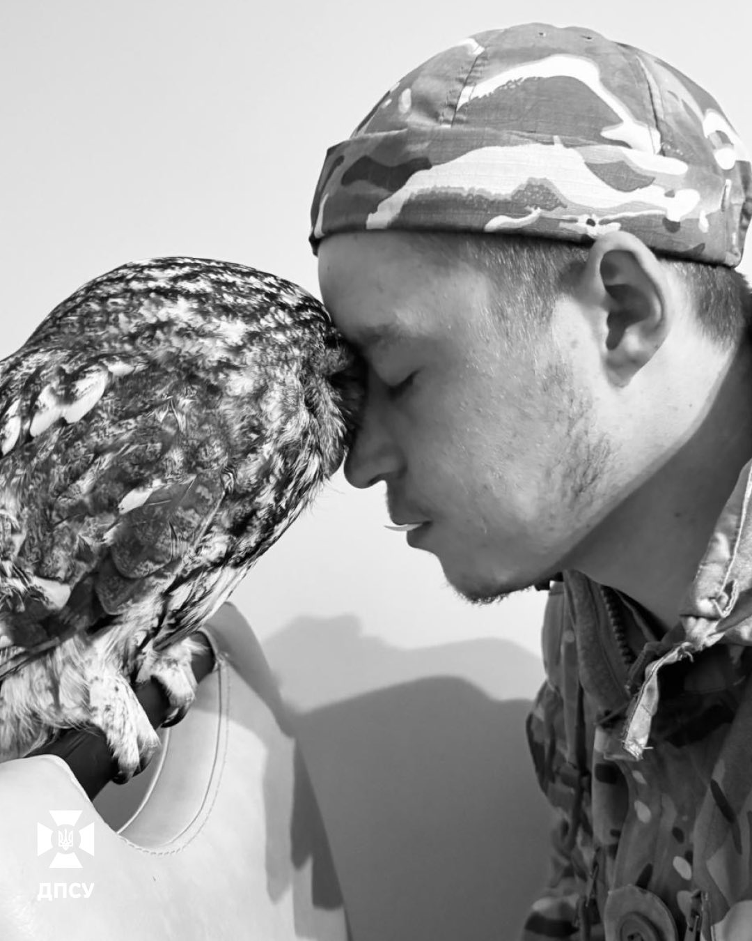 Прикордонник врятував сову. Птаха назвав Андрієм - фото 3